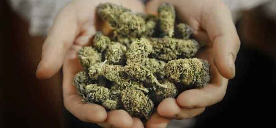 Лечение зависимости от гашиша